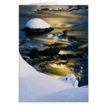 Snow World #8 cards