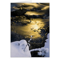 Snow World #9 cards