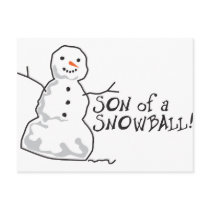 Snowball Post Card