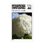 snowball vertical postage stamps