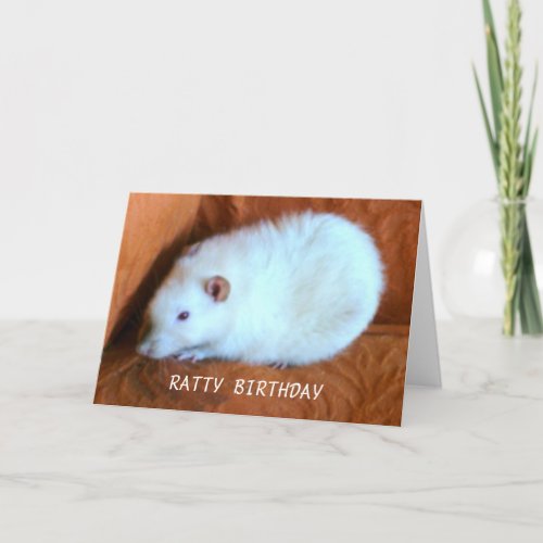 Snowball White Rat Custom Greeting Card card