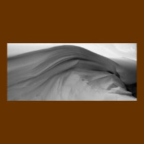 Snowbank Black and White posters