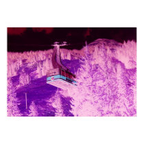 Snowbird Dream posters by CRWilkins Snowbird Dream posters