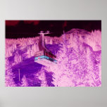 Snowbird Dream posters