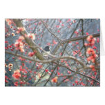 Snowbird in Buds Cards