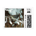 Snowbird postage by closphotos Snowbird postage