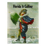 SNOWBIRD'S ANNOUNCEMENT WINTER ADDRESS POSTCARD
