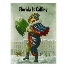 SNOWBIRD'S ANNOUNCEMENT WINTER ADDRESS POSTCARD