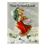 SNOWBIRD'S ANNOUNCEMENT WINTER ADDRESS POSTCARD