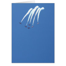Snowbirds Felicitacion
