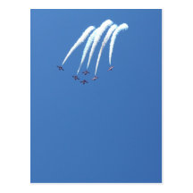 Snowbirds Postcard