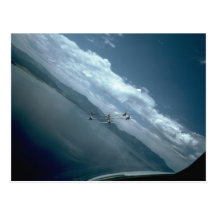 Snowbirds, View From Air, Rear Post Cards