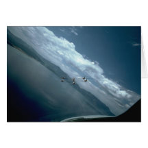 Snowbirds, visión desde el aire, posterior tarjeton