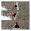 Snowboard Flip posters