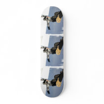 Snowboard Launch Skateboard