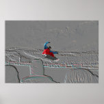 Snowboard Park City posters
