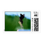 Snowboard postage