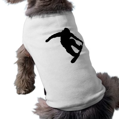 Snowboarder pet clothing