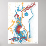 Snowboarder Large Poster posters