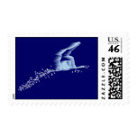 Snowboarder Postage Stamp