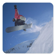 snowbird stickers