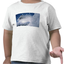 Snowboarding at Snowbird Resort, Wasatch Tee Shirts