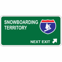 Snowboarding Next Exit photo sculptures