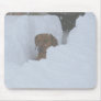 Snowbound Mouse Pad