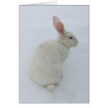 SnowBunny card