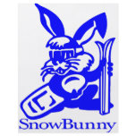 SnowBunny Cartoon Personalized Flyer