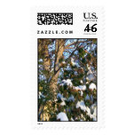 snowcoated postage