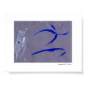 SNOWDANCE posters