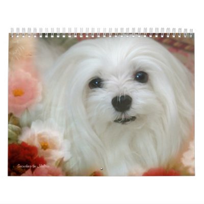 Snowdrop el calendario maltés Snowdrop el calendario maltés