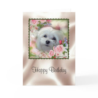 Snowdrop the Maltese Birthday Card