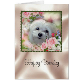 Maltese Cards | Zazzle