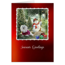 Snowdrop the Maltese Christmas Card cards