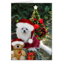 Snowdrop the Maltese Christmas Card cards