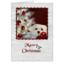 Snowdrop the Maltese Christmas Card cards