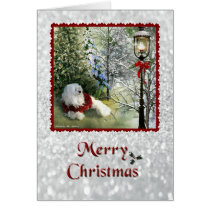 Snowdrop the Maltese Christmas Card cards