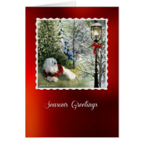 Snowdrop the Maltese Christmas Card cards