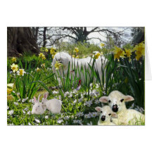 Snowdrop the Maltese Easter Card