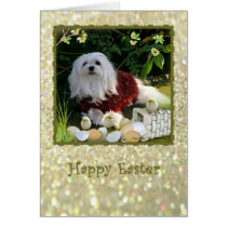 Snowdrop the Maltese Easter Greeting Card cards