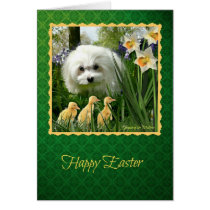 Snowdrop the Maltese Easter Greeting Card cards