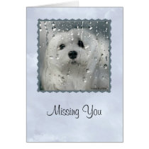 Snowdrop the Maltese Greeting Card (Missing You) cards