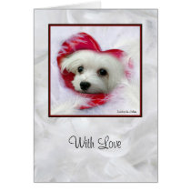 Snowdrop the Maltese Greeting Card (With Love) cards