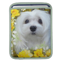 Snowdrop the Maltese iPad Sleeve ipad sleeves