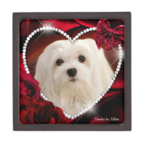 Snowdrop the Maltese Jewellery Box premium gift boxes