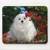 Snowdrop the Maltese Mousepad mousepads