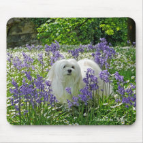 Snowdrop the Maltese Mousepad mousepads