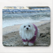 Snowdrop the Maltese Mousepad mousepads